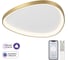 Умная люстра Citilux GENKA SMART LED RGB CL756A162 2