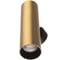 Настенный светильник Citilux AXEL латунь CL512322 6