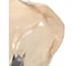 Настольная лампа Citilux ROCKA янтарная CL247088 5