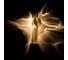 Настенный светодиодный светильник LOFT IT Flame 10452W Gold 2