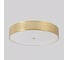 Потолочный светодиодный светильник Crystal lux BUTTON PL40W LED 2
