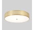 Потолочный светодиодный светильник Crystal lux BUTTON PL40W LED 4