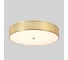 Потолочный светодиодный светильник Crystal lux BUTTON PL40W LED 5