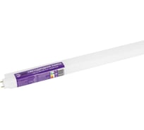 Лампа светодиодная ЭРА RED LINE LED T8-30W-865-G13-1200mm NTB 30Вт трубка стекло холодный дневной свет G13 неповоротный Б0071251