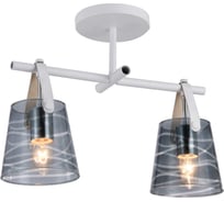 Потолочная люстра J-LIGHT RIB 2359/2C