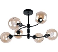 Потолочная люстра J-LIGHT REINA 5533/6C