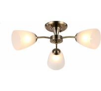 Потолочная люстра J-LIGHT PANNY 3100/3C