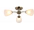 Потолочная люстра J-LIGHT PANNY 3100/3C 1