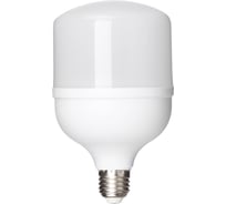 Светодиодная лампа TDM T-30 Вт-230 В-4000 К–E27 99x168 мм НАРОДНАЯ SQ0340-1642