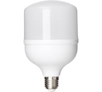 Светодиодная лампа TDM T-30 Вт-230 В-6500 К–E27 99x168 мм НАРОДНАЯ SQ0340-1643