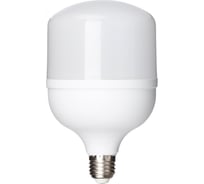 Светодиодная лампа TDM T-40 Вт-230 В-4000 К–E27 114x183 мм НАРОДНАЯ SQ0340-1644