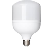 Светодиодная лампа TDM ELECTRIC T-40 Вт-230 В-6500 К–E27 114x183 мм НАРОДНАЯ SQ0340-1645