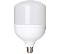 Светодиодная лампа TDM T-50 Вт-230 В-4000 К–E27 125x206 мм НАРОДНАЯ SQ0340-1646