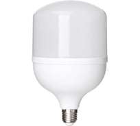 Светодиодная лампа TDM ELECTRIC T-50 Вт-230 В-6500 К–E27 125x206 мм НАРОДНАЯ SQ0340-1647