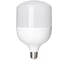 Светодиодная лампа TDM ELECTRIC T-50 Вт-230 В-6500 К–E27 125x206 мм НАРОДНАЯ SQ0340-1647 1