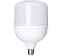 Светодиодная лампа TDM T-60 Вт-230 В-6500 К–E27 135x225 мм НАРОДНАЯ SQ0340-1649