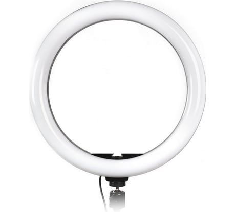 Кольцевая светодиодная лампа Smartbuy 26 см с держателем для телефона, для фото/видео съемки SBL-TTL-10