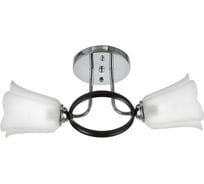 Люстра BayerLux BP8365/2 2х12Вт Е27 хром/черный МОДЕЛЬ: GBV-0140 6924696