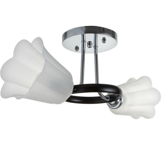 Люстра BayerLux BP8365/2 2х12Вт Е27 хром/черный МОДЕЛЬ: GBV-0140 6924696