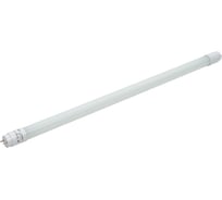Светодиодная лампа TDM ELECTRIC НЛ-Т8-10 Вт-230 В-6500 К–G13, 600 мм, матовая, стекло, с неповоротным цоколем Народная SQ0340-1502