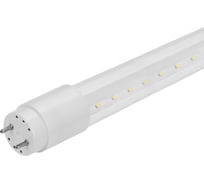 Светодиодная лампа TDM ELECTRIC НЛ-Т8-20 Вт-230 В-6500 К–G13, 1200 мм, прозрачная, стекло, с неповоротным цоколем Народная SQ0340-1655