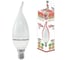Светодиодная лампа TDM ELECTRIC WFC37-10 Вт-230 В -3000 К–E14 свеча на ветру Народная SQ0340-1598 1