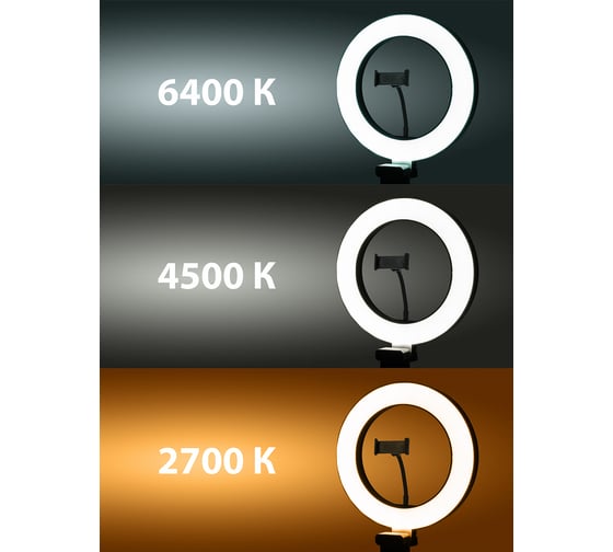 Кольцевая светодиодная лампа TDM 26 см, 12 Вт, 2700-6400 К, штатив настольный, диммер, USB, SQ0373-0302
