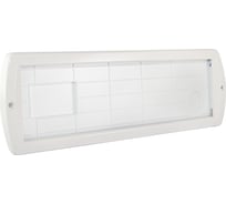 Охранно-пожарный световой оповещатель TDM ELECTRIC Топаз-220-РИП основание 220 В резервный источник питания, IP52 SQ0349-0214