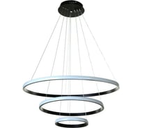 Светильник BayerLux "Орбита" LED 60Вт 4000K черный 60-40-20x100см 7661520