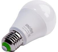 Светодиодная LED лампа Smartbuy A60_12-24В-11W00/E27 SBL-A60_12-24-11-40K-E27