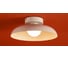 Потолочный светильник Freya Movement FR5602CL-L10W 11