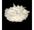 Потолочный светильник LOFT IT Clizia 10594/780C White 2