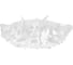 Потолочный светильник LOFT IT Clizia 10594/780C White 3