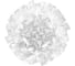 Потолочный светильник LOFT IT Clizia 10594/780C White 5