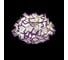 Потолочный светильник LOFT IT Clizia 10231/530C Purple 2