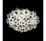 Потолочный светильник LOFT IT Clizia 10595/780C Black 2