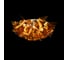 Потолочный светильник LOFT IT Clizia 10593/530C Gold 4