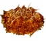 Потолочный светильник LOFT IT Clizia 10593/780C Gold 1