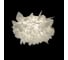 Потолочный светильник LOFT IT Clizia 10594/530C White 2