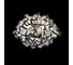 Потолочный светильник LOFT IT Clizia 10231/530C Black 2