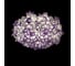 Потолочный светильник LOFT IT Clizia 10231/780C Purple 2