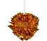 Подвесной светильник LOFT IT Clizia 10593/420 Gold 5