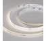Светодиодная лента Arlight SPI-COB-X378-12mm 24V Day4000-PX21-BPT 5м 063779 1