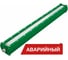 Аварийный светодиодный светильник Diora Piton 56/6700 К60 4K А Зеленый насыщенный DP56K60-4K-A RAL 6029 1