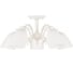 Потолочная люстра на штанге MyFar Биене MR2702-5C 6