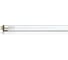 Лампа бактерицидная LightBest GPHO 812T5L G5 (ДБ 36 G5) 700709123 1