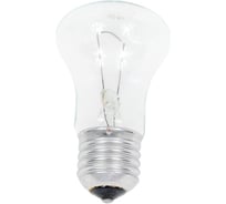 Лампа накаливания КЭЛЗ МО 40Вт E27 24В 100 8106003