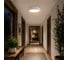 Светильник потолочный Evoluce белый, Древесный/белая LED 1*36W 4000K SLE1812-502-01 2