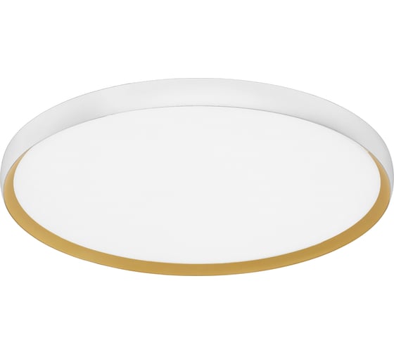 Светильник потолочный Evoluce белый, Золотистый/белая LED 1*42W 4000K SLE1810-502-01