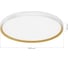 Светильник потолочный Evoluce белый, Золотистый/белая LED 1*42W 4000K SLE1810-502-01 2